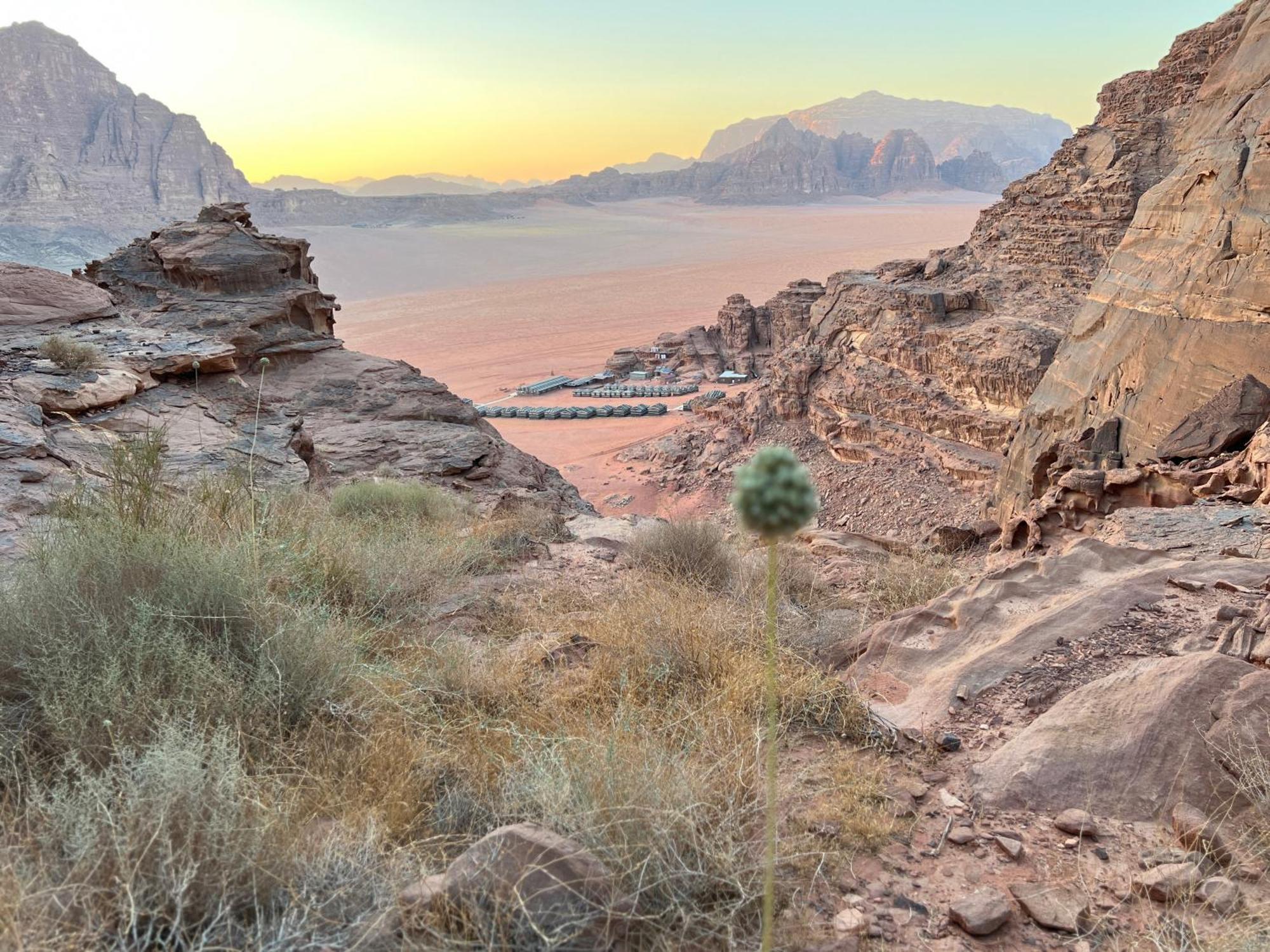 Rum Magic Nights Wadi Rum Exterior foto